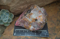 Natural Rhodonite Cobbed Specimens x 6 From Zimbabwe