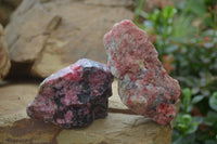 Natural Rhodonite Cobbed Specimens x 6 From Zimbabwe