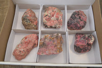 Natural Rhodonite Cobbed Specimens x 6 From Zimbabwe