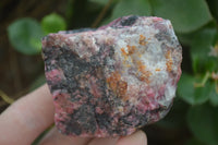 Natural Rhodonite Cobbed Specimens x 6 From Zimbabwe