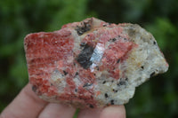 Natural Rhodonite Cobbed Specimens x 6 From Zimbabwe