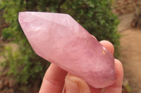 Polished Double Terminated Rose Quartz Points x 6 From Madagascar