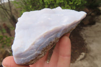 Natural Crystalline Blue Lace Agate Plates x 6 From Namibia