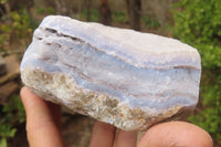 Natural Crystalline Blue Lace Agate Specimen x 1 From Namibia