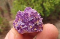 Natural Amethystos Amethyst Specimens x 70 From Kwaggafontein, South Africa