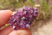 Natural Amethystos Amethyst Specimens x 70 From Kwaggafontein, South Africa