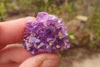 Natural Amethystos Amethyst Specimens x 70 From Kwaggafontein, South Africa