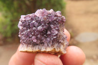 Natural Amethystos Amethyst Specimens x 70 From Kwaggafontein, South Africa