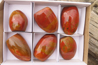 Polished Red Jasper Standing Free Forms x 6 From Madagascar