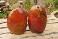 Polished Red Jasper Standing Free Forms x 6 From Madagascar