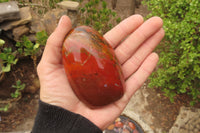 Polished Red Jasper Standing Free Forms x 6 From Madagascar