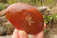 Polished Red Jasper Standing Free Forms x 6 From Madagascar