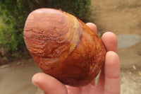 Polished Red Jasper Standing Free Forms x 6 From Madagascar