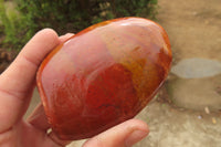 Polished Red Jasper Standing Free Forms x 6 From Madagascar