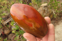 Polished Red Jasper Standing Free Forms x 6 From Madagascar