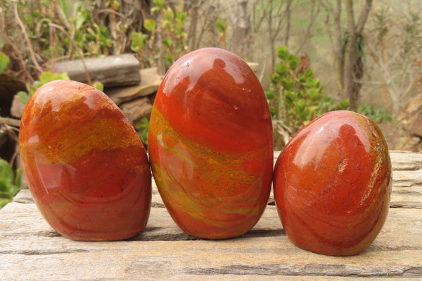 Polished Red Jasper Standing Free Forms x 6 From Madagascar