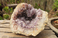 Natural Zululand Amethyst Geodes x 1 From Jozini, South Africa