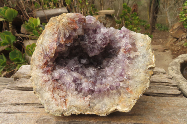 Natural Zululand Amethyst Geodes x 1 From Jozini, South Africa