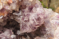 Natural Zululand Amethyst Geodes x 1 From Jozini, South Africa