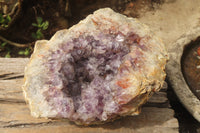 Natural Zululand Amethyst Geodes x 1 From Jozini, South Africa