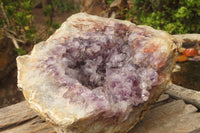 Natural Zululand Amethyst Geodes x 1 From Jozini, South Africa