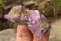 Natural Metallic Purpurite Cobbed Specimens x 12 From Erongo, Namibia