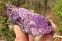 Natural Metallic Purpurite Cobbed Specimens x 12 From Erongo, Namibia