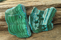 Polished Malacolla Slices x 5 From Kalukundi Mine, Congo