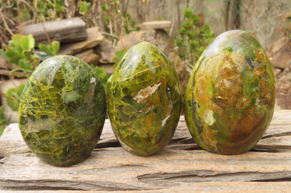 Polished Green Opal Standing Free Forms x 6 From Antsirabe, Madagascar