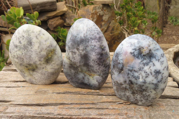 Polished Dendritic Opal Standing Free Forms x 3 From Moralambo, Madagascar