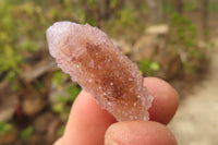 Natural Ametrine Spirit Quartz Clusters x 70 From Boekenhouthoek, South Africa