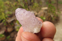 Natural Ametrine Spirit Quartz Clusters x 70 From Boekenhouthoek, South Africa