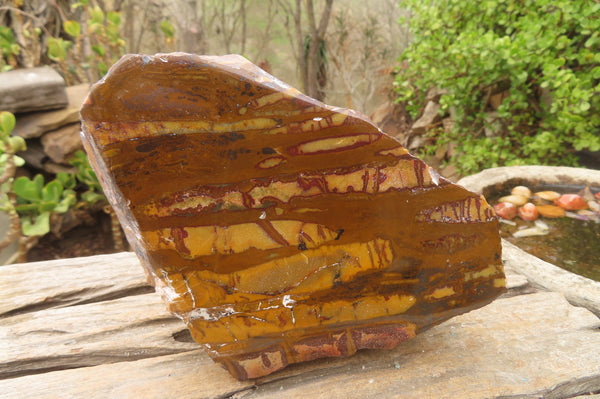 Polished On One Side Nguni Jasper Specimen x 1 From Prieska, South Africa