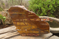 Polished On One Side Nguni Jasper Specimen x 1 From Prieska, South Africa