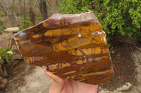 Polished On One Side Nguni Jasper Specimen x 1 From Prieska, South Africa