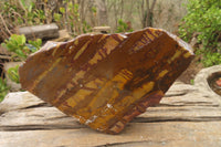 Polished On One Side Nguni Jasper Specimen x 1 From Prieska, South Africa