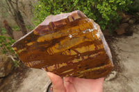 Polished On One Side Nguni Jasper Specimen x 1 From Prieska, South Africa