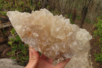 Natural Zululand Clear Calcitic Quartz x 2 from Zululand, South Africa