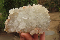 Natural Zululand Clear Calcitic Quartz x 2 from Zululand, South Africa