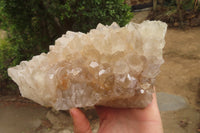 Natural Zululand Clear Calcitic Quartz x 2 from Zululand, South Africa