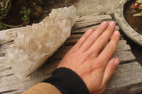 Natural Zululand Clear Calcitic Quartz x 2 from Zululand, South Africa