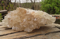 Natural Zululand Clear Calcitic Quartz x 2 from Zululand, South Africa