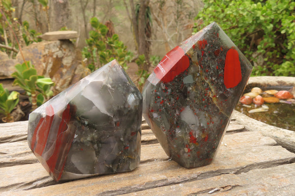 Polished Bloodstone (Seftonite) Point-Prism x 2 From Swaziland