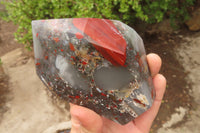 Polished Bloodstone (Seftonite) Point-Prism x 2 From Swaziland