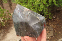 Polished Bloodstone (Seftonite) Point-Prism x 2 From Swaziland