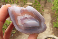 Polished On One Side Red Sashe River Agate Nodules x 6 From Sashe River, Zimbabwe