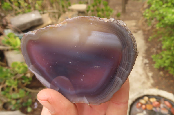 Polished On One Side Red Sashe River Agate Nodules x 6 From Sashe River, Zimbabwe