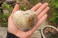 Polished Banded Agate Hearts x 6 From Madagascar