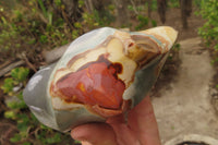 Polished Polychrome Jasper Flames x 3 From Mahajanga, Madagascar