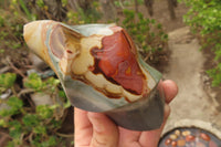 Polished Polychrome Jasper Flames x 3 From Mahajanga, Madagascar